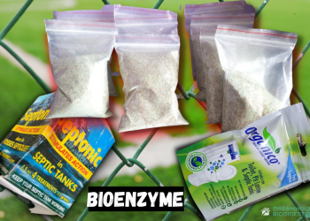 Dreamhouse chemicals bioenzyme