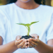 Sustainable Waste Management: Creating a Greener Future For Ghana