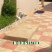 The Four Biggest Secrets to Mastering Biodigester Construction